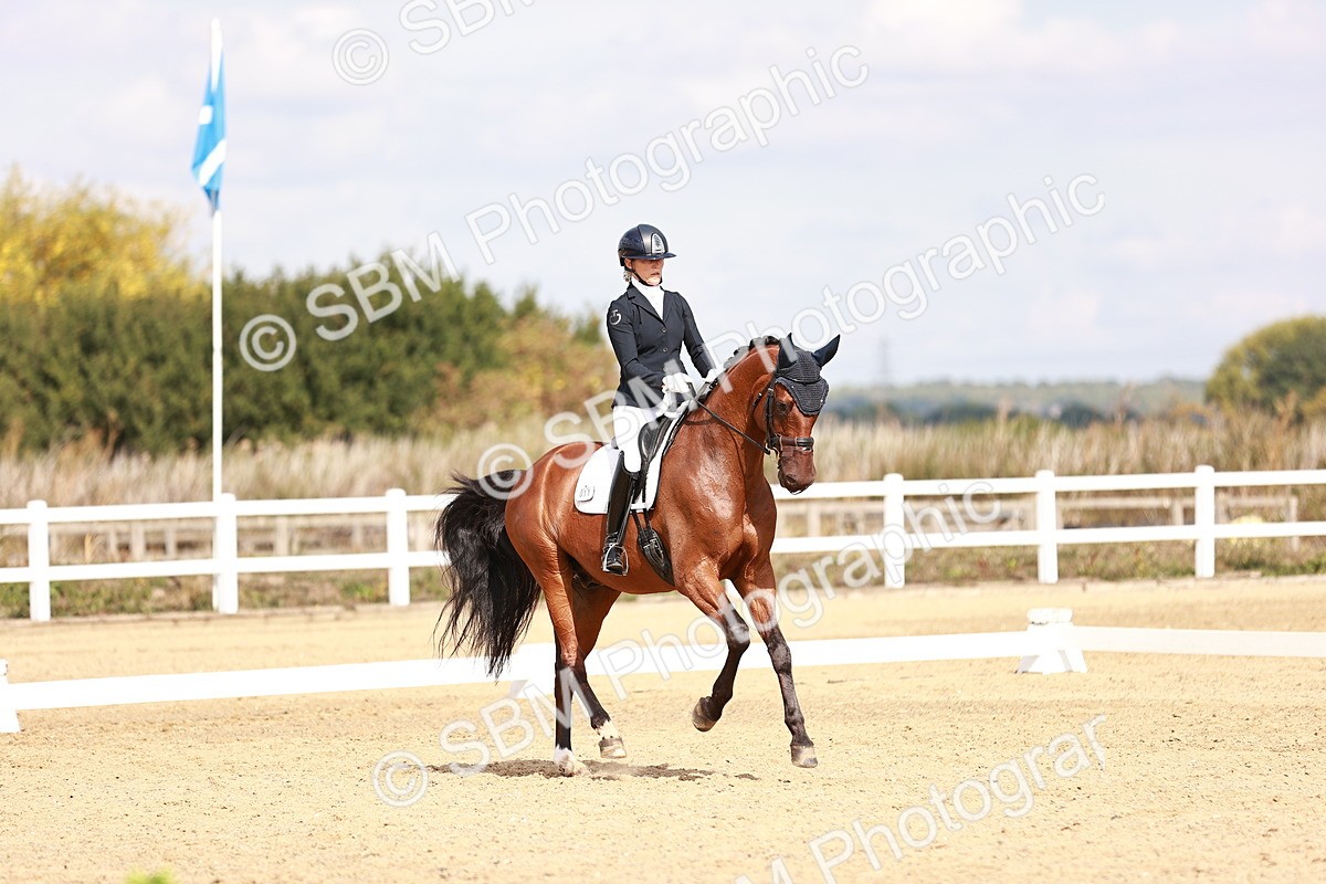 SBM_017640 - Class 11 - Advanced Medium 6