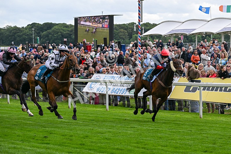 130626-Race 1-Dunkeld Dreamer-0538 - Race 1 13.50pm Queen Mother's Cup Handicap