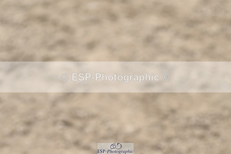 240411-145749-01460 - Group 2 XC