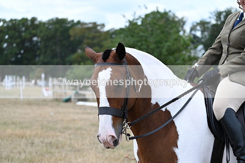 WJ7_5325 - Class 12 Ridden Cob