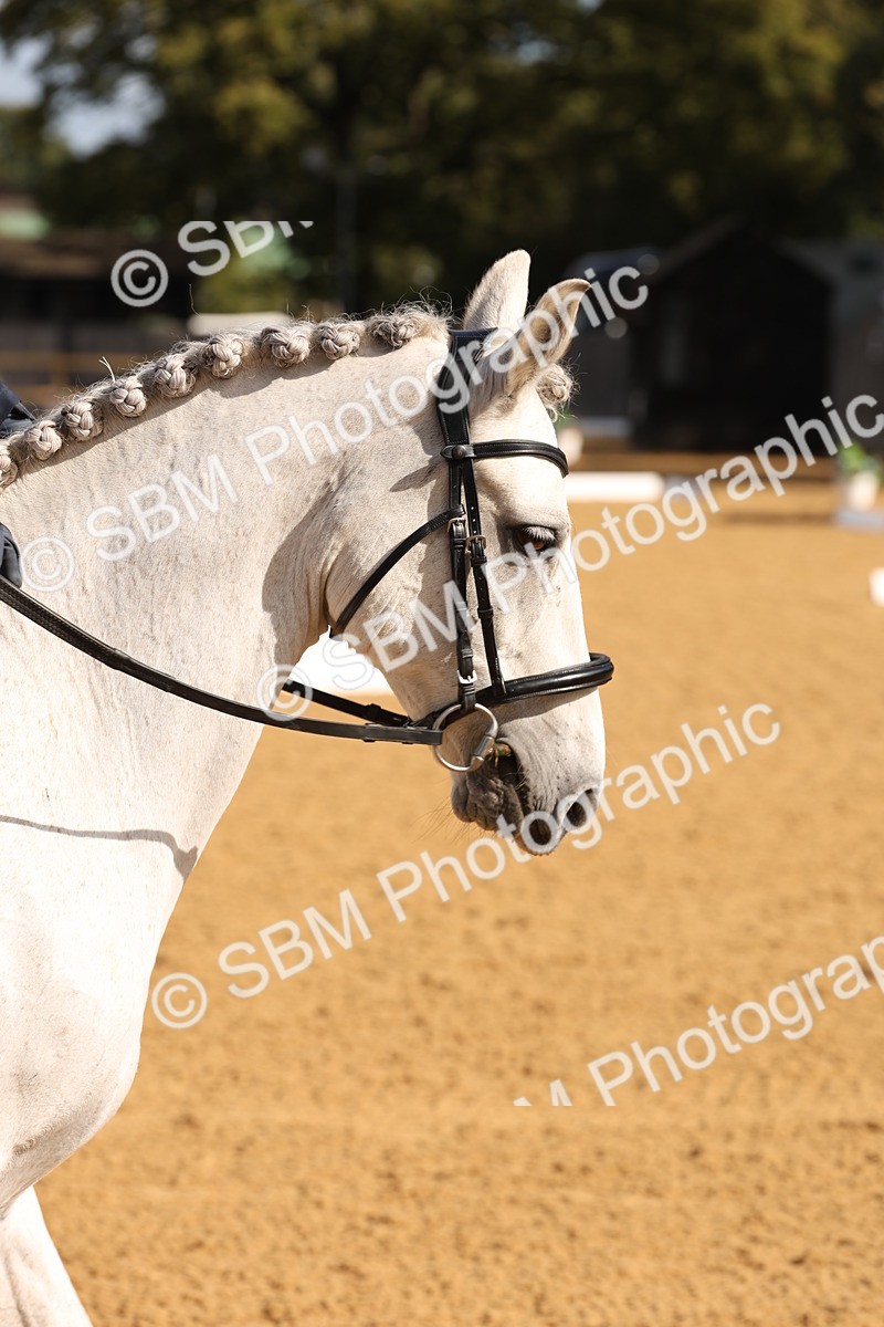 SBM_02136 - D10 - Small Tour Championship Prelim 2