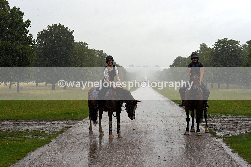 TT3_8837 - Time at Crossing 12:55 to 15:02