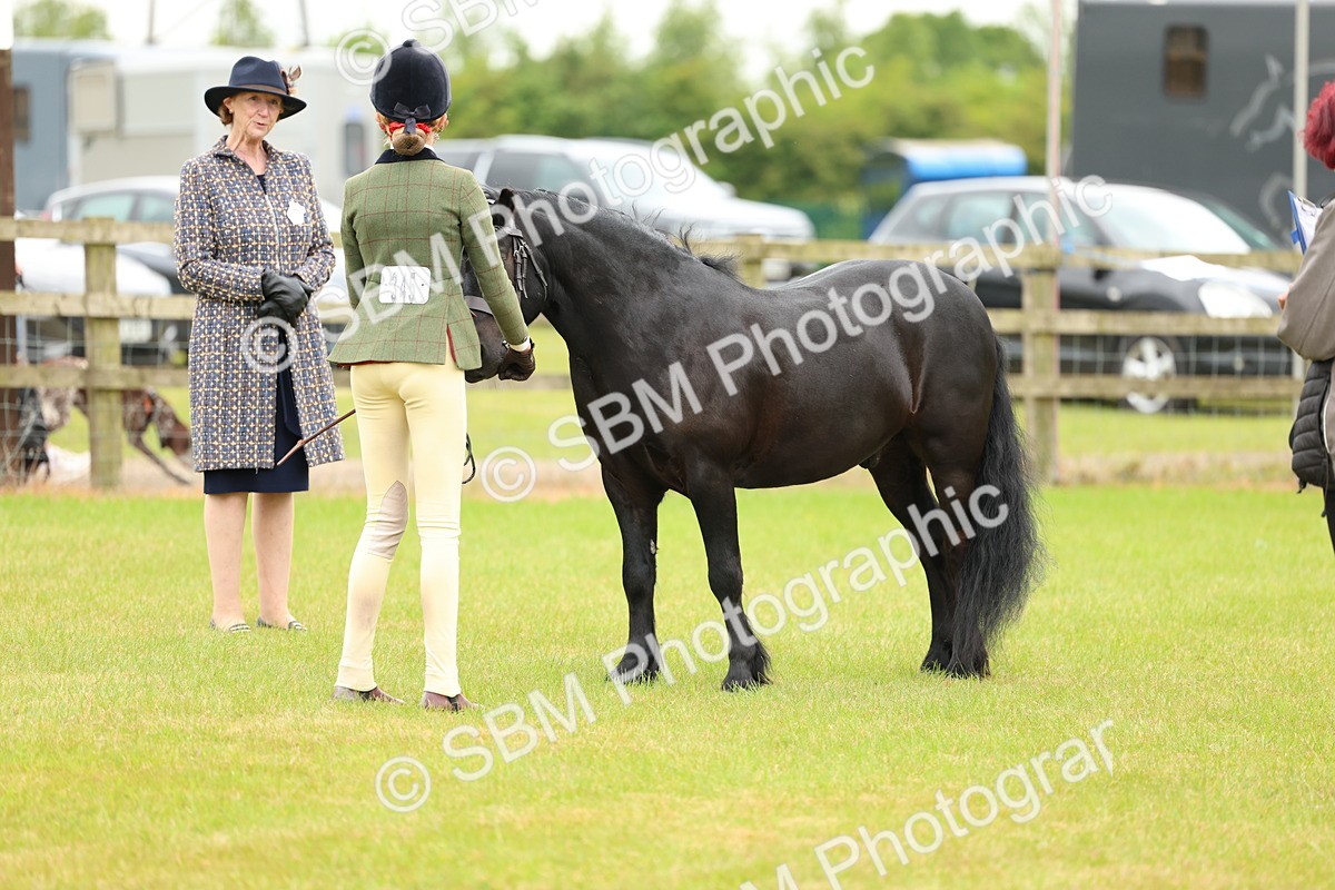 SBM_10351 - Class 44-45 - LIHS BSPS Open Nursery and Cradle Stakes