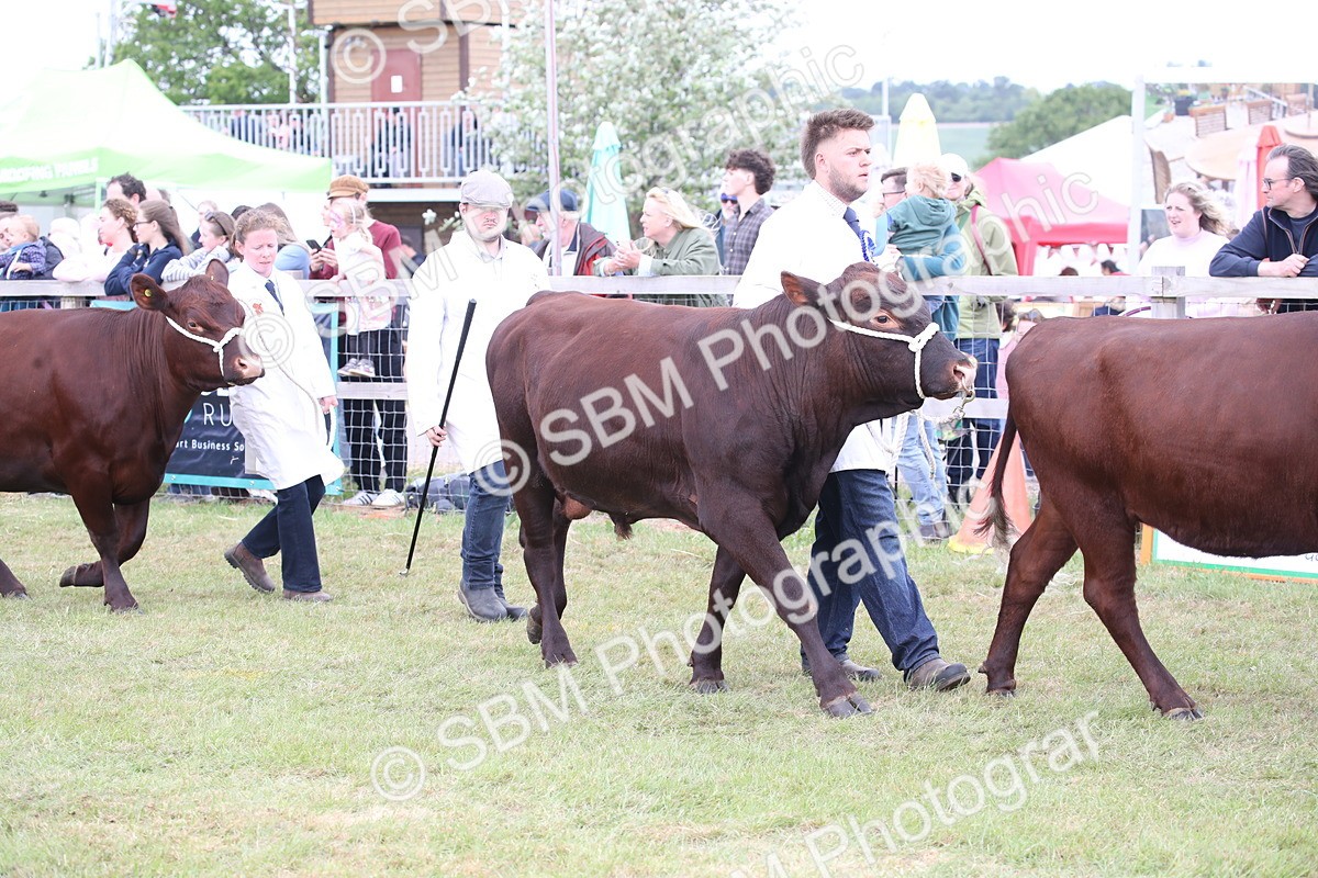 SBM_07830