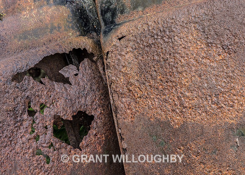  - Detail in the land