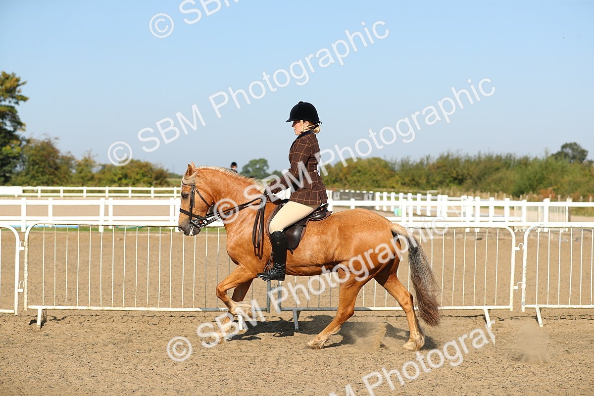 SBM_01199 - Class 42 Ridden Veteran