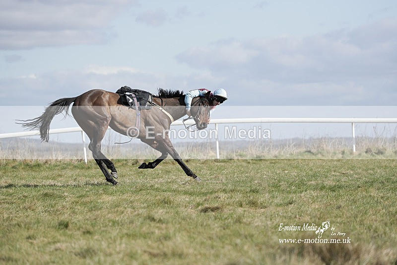PtP 260223 491 - South & West Wilts Point-to-Point Larkhill 26/02/23