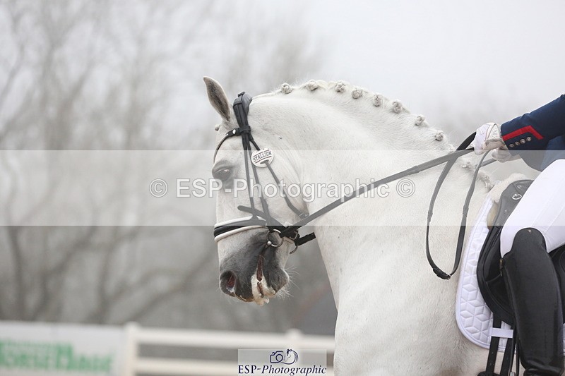 240217A-134548-03914 - 210-Charlotte.Dicker-Amaranto.D.Centurion