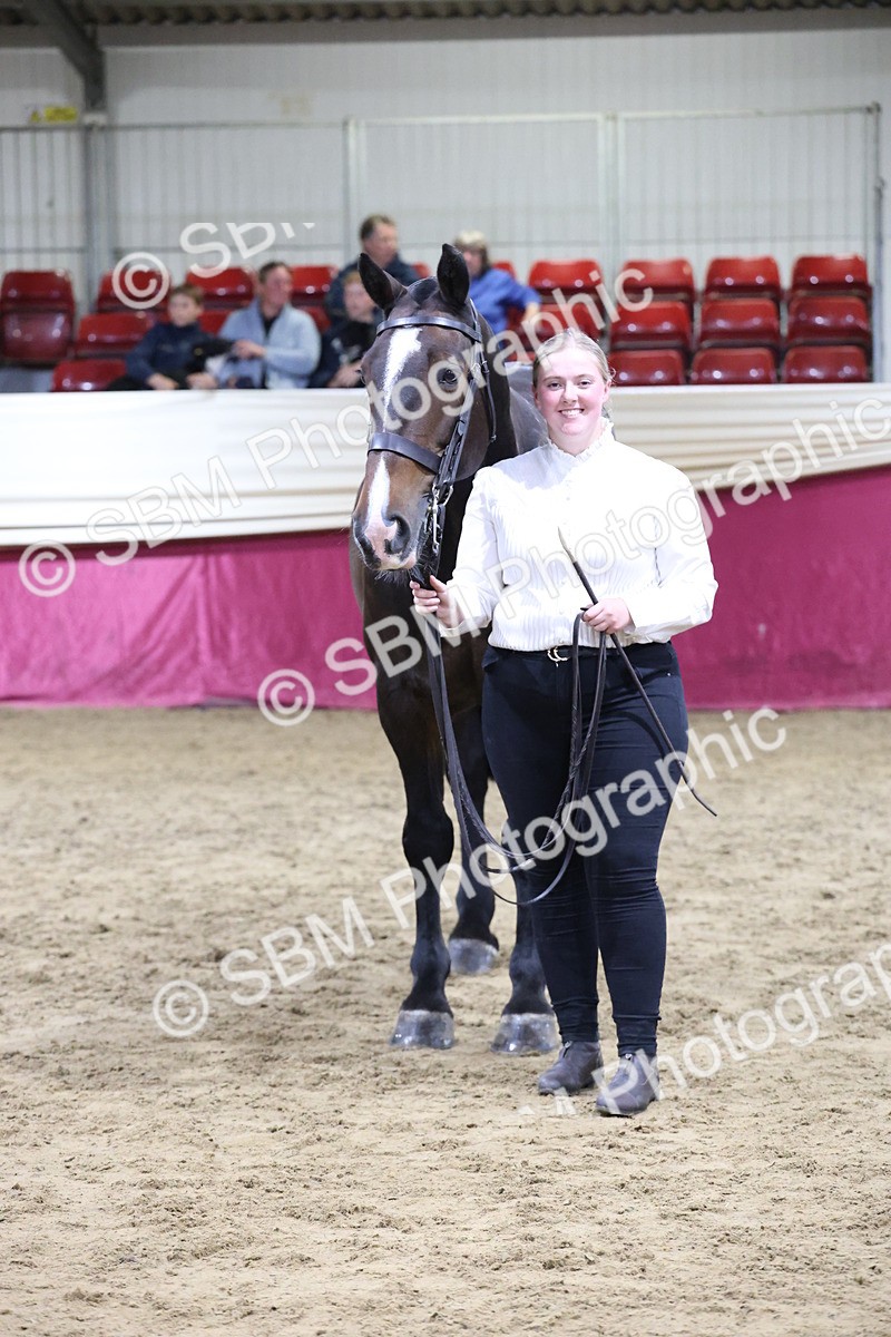 SBM_20536 - Class G - IH Large (over 148cm)Champ