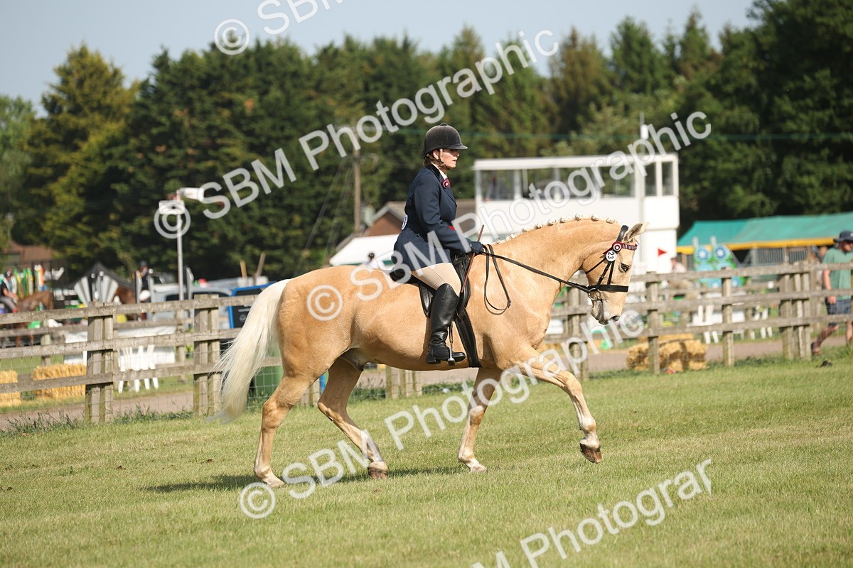 SBM_10227 - Class 33-38 - SSADL RIHS Qualifiers