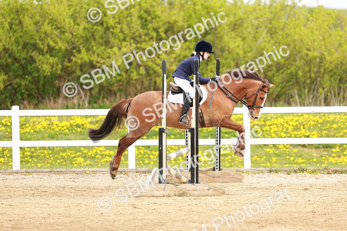 SBM_003784 - Class 3 - 60cm