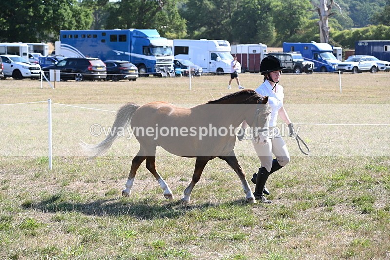 WJ6_7499 - Class 34 Judges Choice