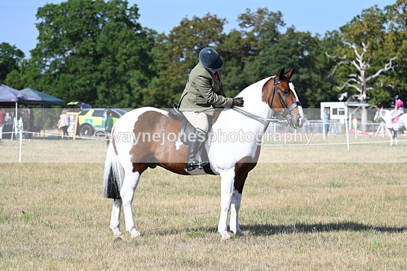 WJ7_2957 - Class 8 Ridden Tack & Turnout