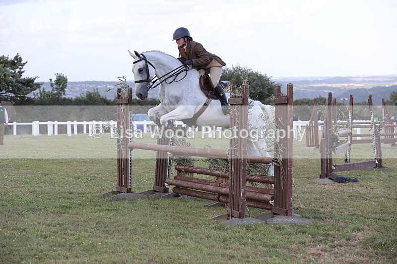 JPP_3633 - Class 24: Open Working Hunter
