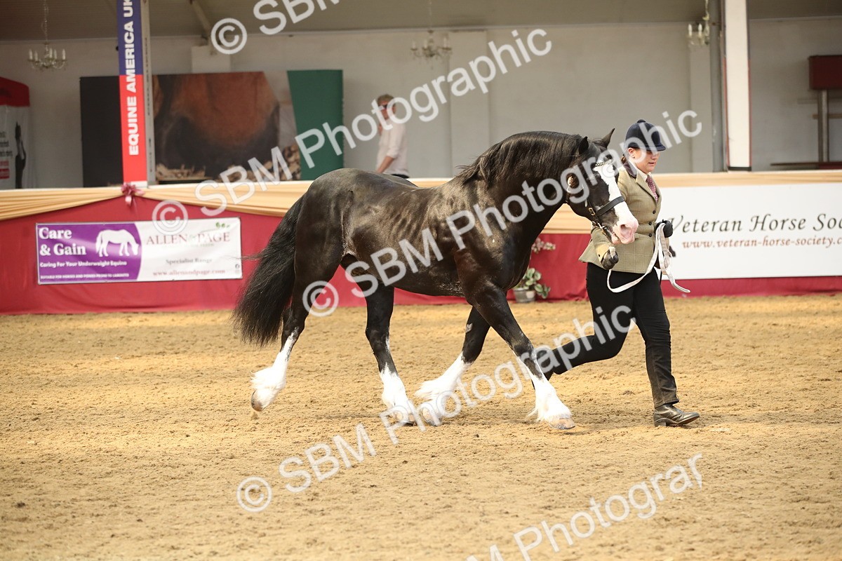 SBM_05361 - Class 8R - Regional IH Veteran