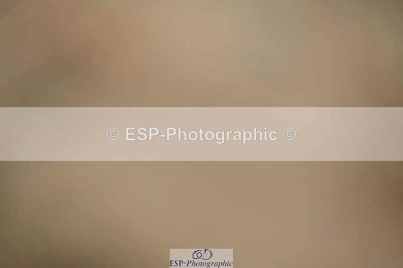 251026A-124408-24542 - 100 Presentations