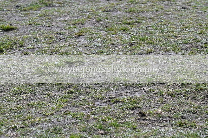 WJ7_0655 - XC Time 12:37 to 12:58