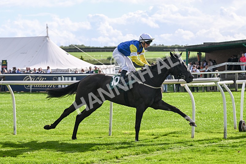 080926-Race 5-Lope Y Linda-2728 - Race 5 4.11pm Every Race Live On Racing TV Handicap