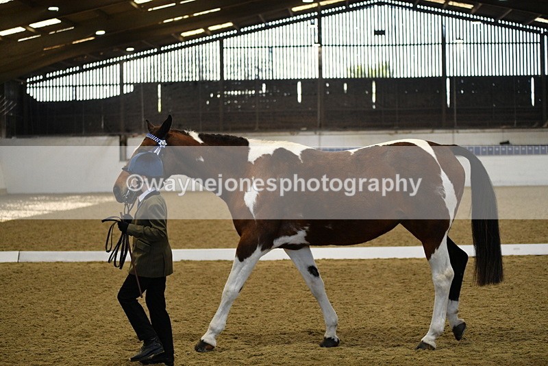 WJ5_3829 - Class 5 In Hand Veterans