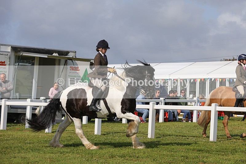 1X9A3477 - Skewbald and Piebald Ridden Championship