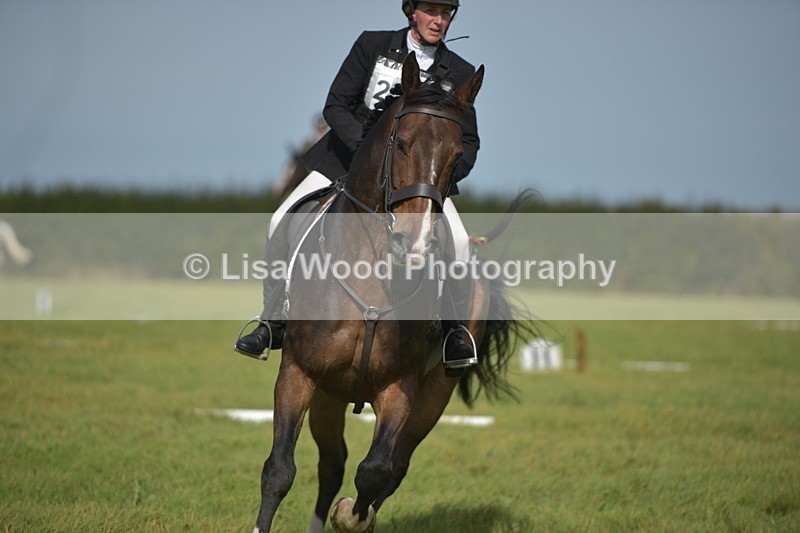 RAY_7965 - Class 2B: Trekenning Open: Dressage