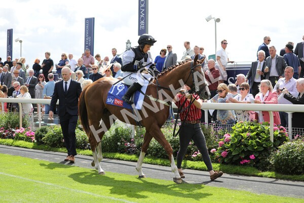 yr19082022r1-8 - Race 1 1.50pm Sky Bet Stakes