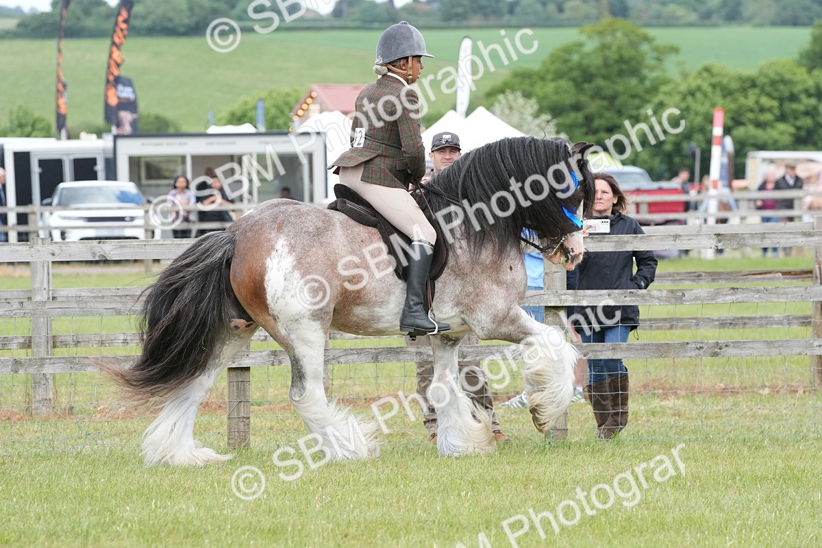 SBM_17689 - Class 107-108 - LIHS BSPS Performance Coloured Horse Pony