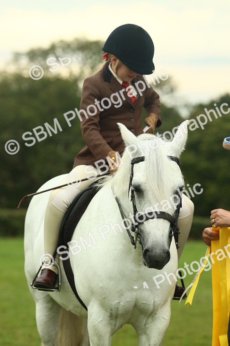 SBM_72290 - S60 - Mountain & Moorland Ridden Large Breeds