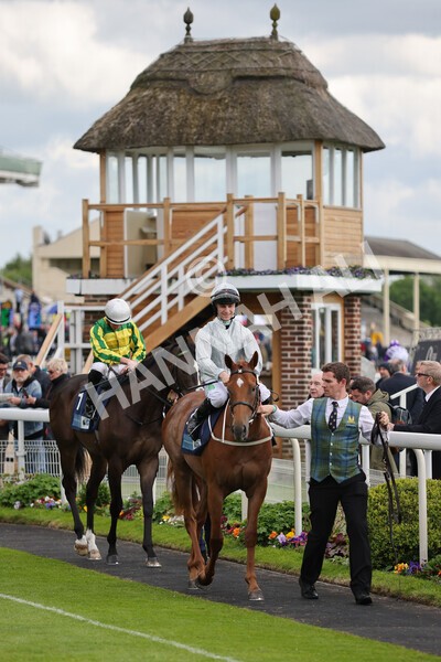 yr11052022r7-5 - Race 7 5.15pm British Stallion Studs EBF Novice Stakes