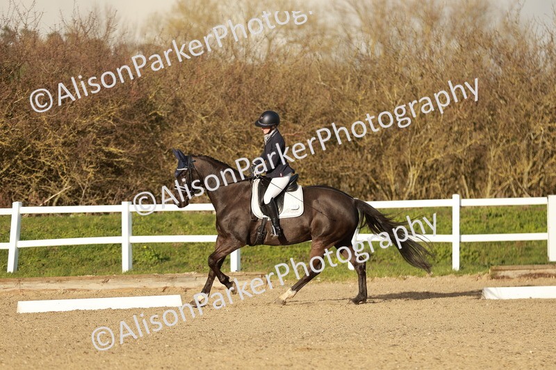 20260314-6342 - CT7 - Elementary 2