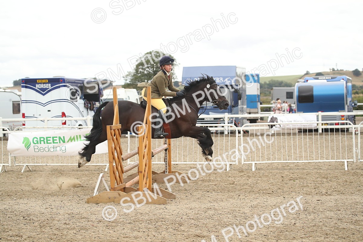 SBM_18363 - Class 509B - Working Veteran - 80cm (20+)