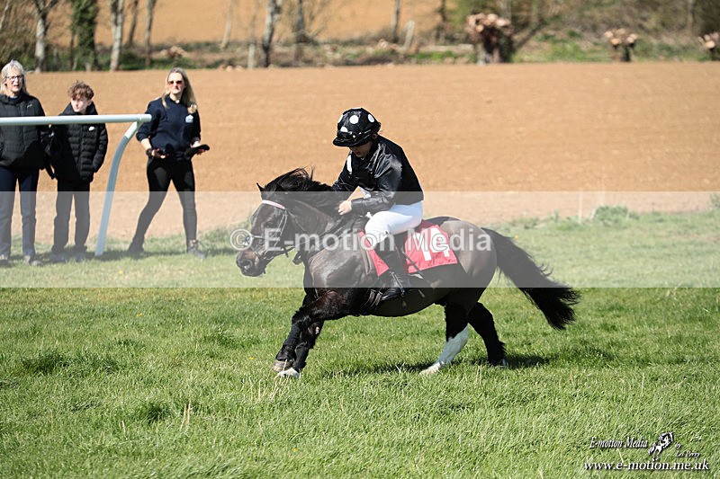 Shet 060426 325 - Shetland Pony Racing Paxford Races Easter Mon 06/04/26