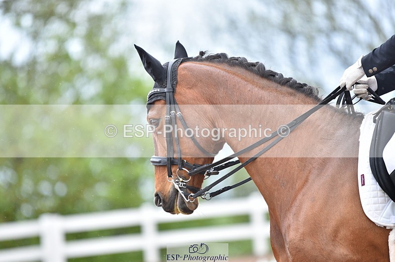 230511A-123750-00612 - BD Cls 8 Elementary 59