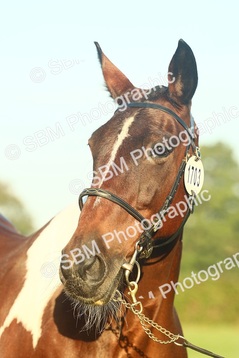 SBM_56594 - S36 - Starters Best Turnout