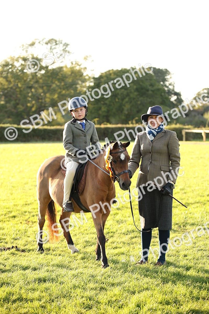 SBM_54496 - S27 - Mature Veteran - Ridden