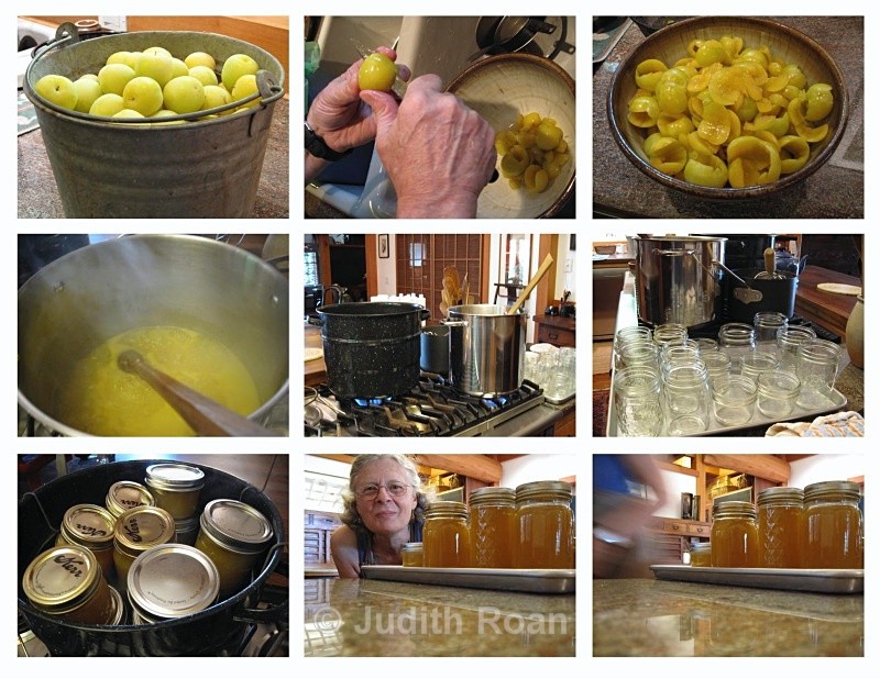 Plum Jam making copy - Plum Jam