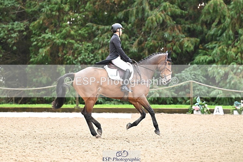 251023A-122251-01906 - C-235-Ryo.Murata