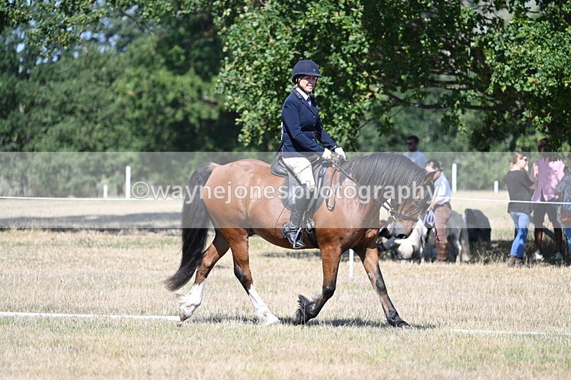 WJ7_0777 - Time 12:03 to 12:23