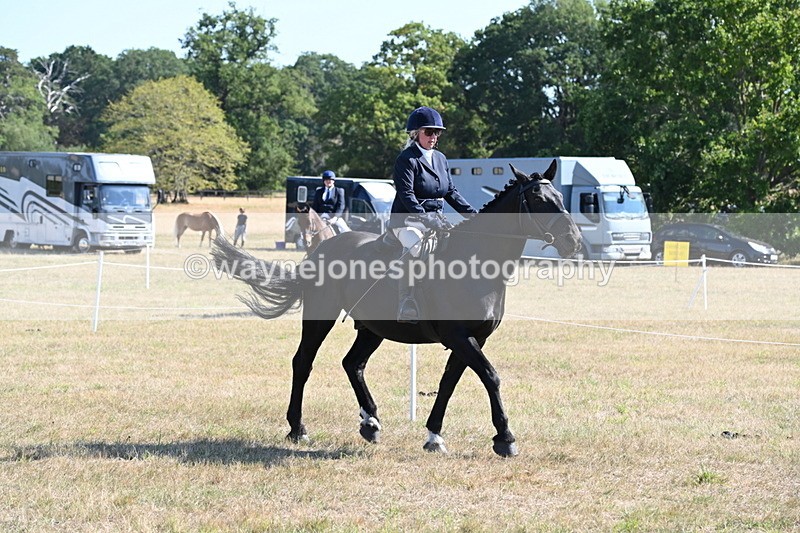 WJ6_7459 - Class 34 Judges Choice