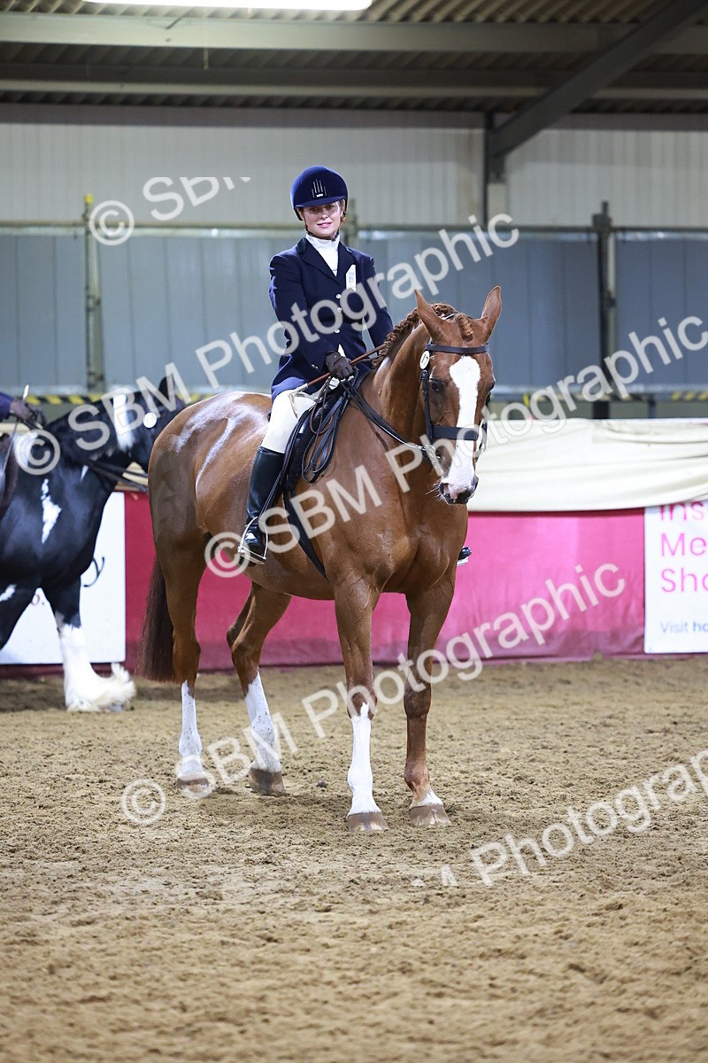 SBM_15413 - Class Q - Ridden Horse Champ