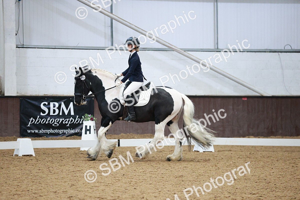 SBM_004563 - Ring 3 - International -  Working Hunter Classes 23-2-25