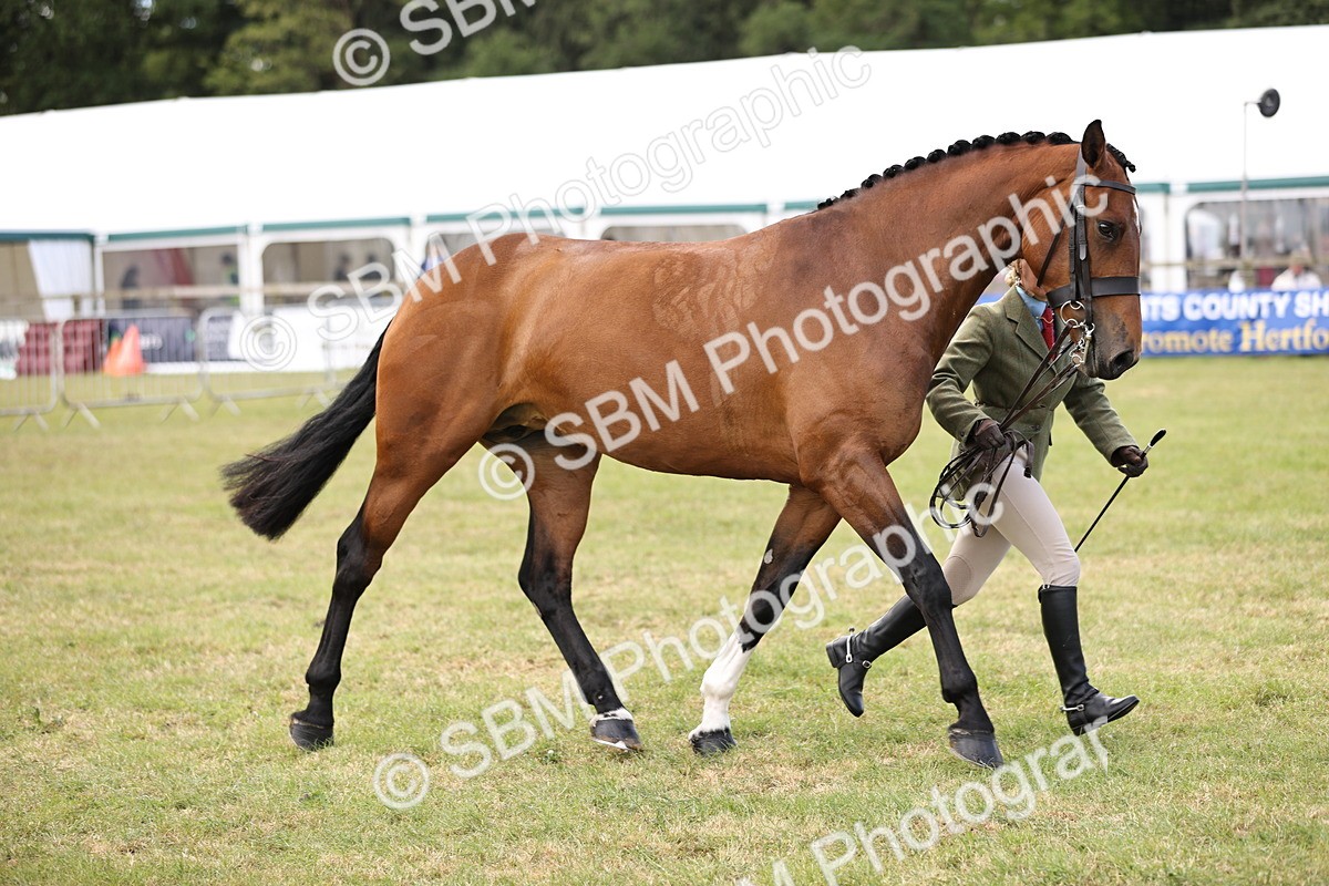 SBM_14748 - Class 88-89 - LIHS BSHA Rising Star of Ridden Hunter Type
