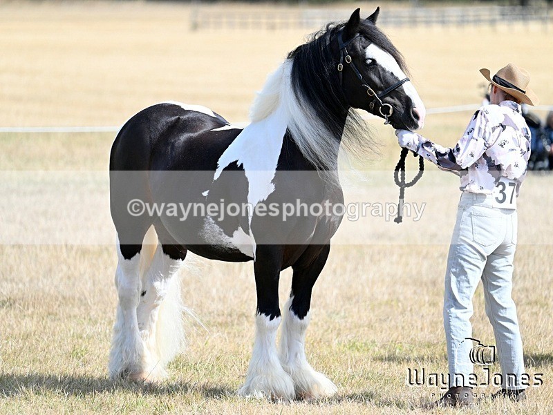 WJ7_9096 - Kellie and Nancy at Swallowfield 31-08-26