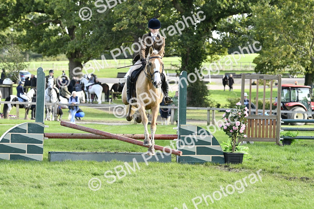 SBM_49961 - S34 - Novice & Newcomers Working Hunter