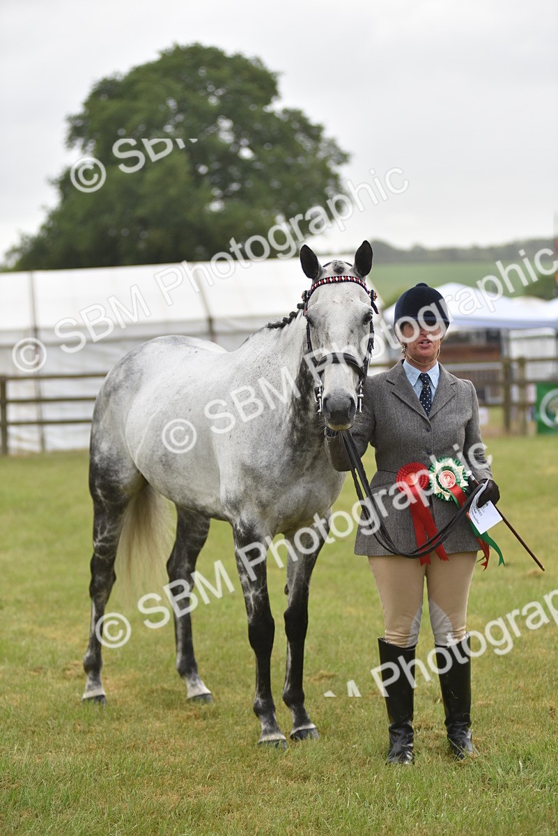 SBM_10670 - Class 109 - Retraining of Racehorses in Hand