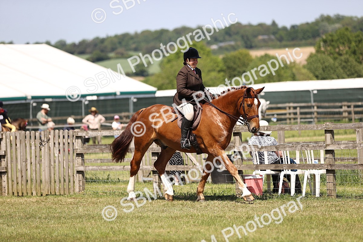 SBM_17692 - Class 81-83 - TSR Ridden Amateur of the Year - Horses