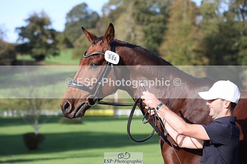 241027-103114-15941 - 584-Tommy.Greengard-I'M.ALL.IN