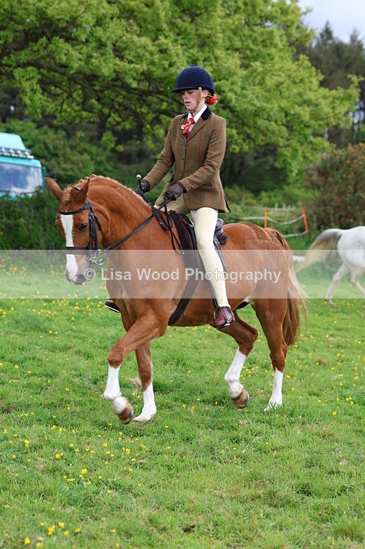 3E7A2102 - Class 11: Ridden Arab