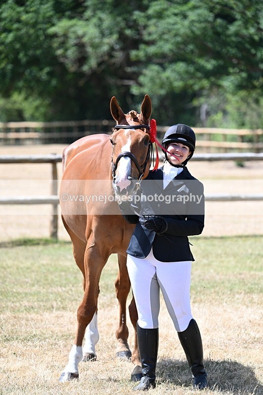 WJ7_2445 - Class 5a Most Handsome Gelding in hand (above 14.2hh)
