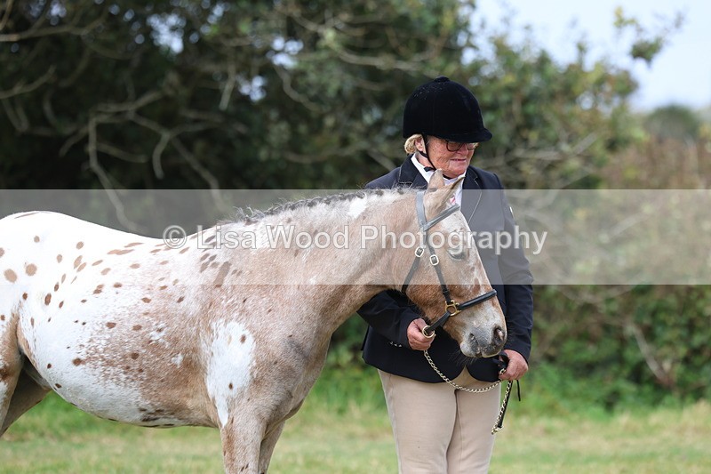 3E7A5400 - Class 19: Best Coloured in Hand